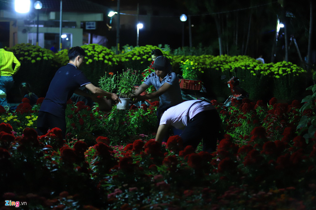 Tiểu thương vạ vật trắng đêm canh hoa Tết - Ảnh 7. Tiểu thương vạ vật trắng đêm canh hoa Tết - Ảnh 7.