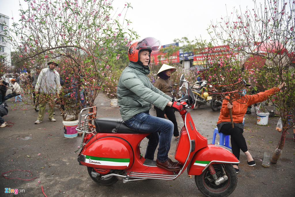 Lan hồ điệp 346 cây, giá 106 triệu cho Tết Canh Tí - Ảnh 2. Lan hồ điệp 346 cây, giá 106 triệu cho Tết Canh Tí - Ảnh 2.