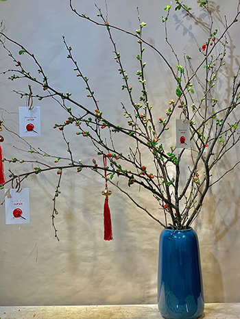 Chục triệu đồng một bình hoa đào Nhật chơi Tết - Ảnh 1.