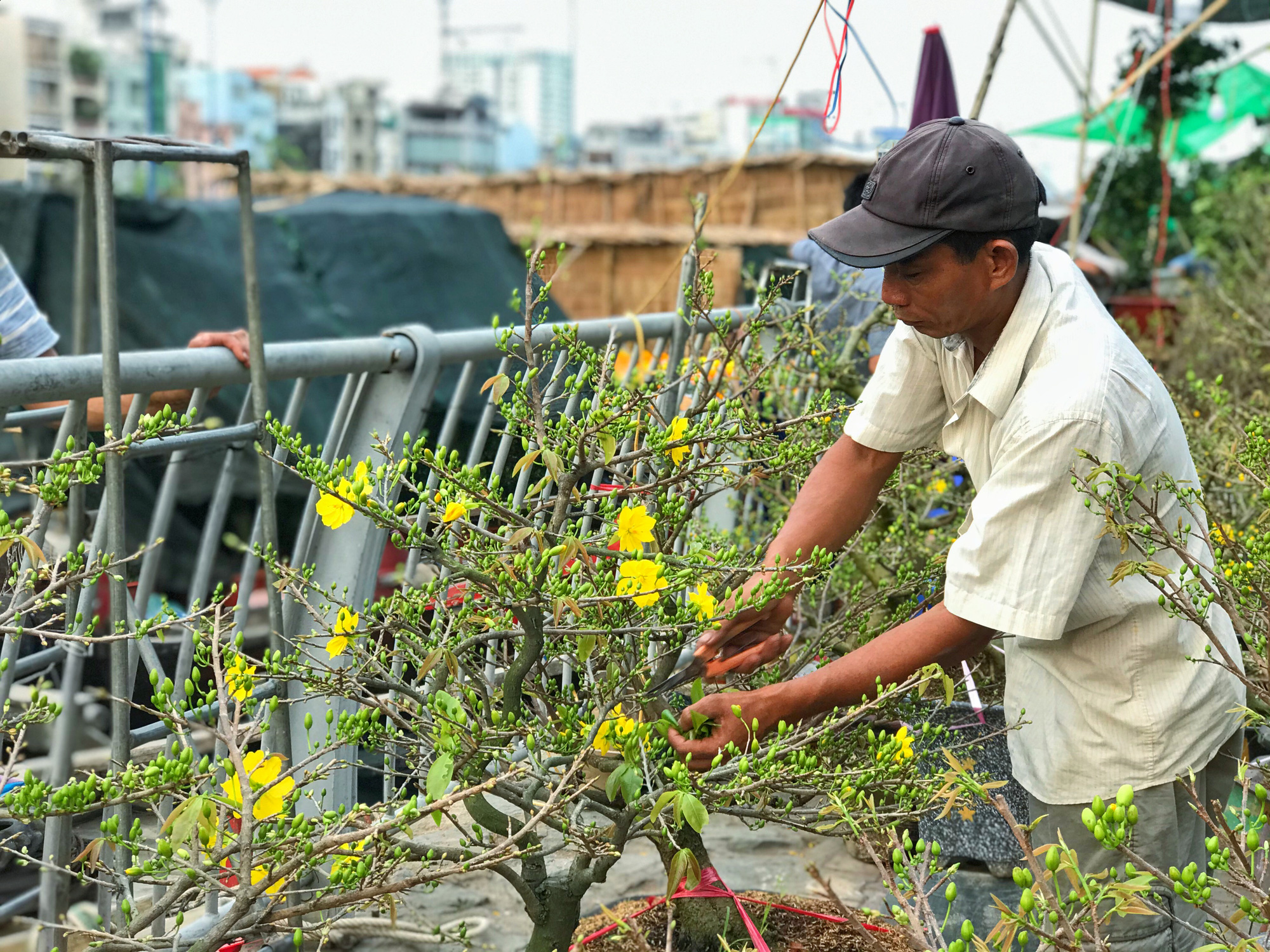 Bến Bình Đông - chợ hoa Tết “trên bến dưới thuyền” độc lạ của người Sài Gòn - Ảnh 2. Bến Bình Đông - chợ hoa Tết “trên bến dưới thuyền” độc lạ của người Sài Gòn - Ảnh 2.