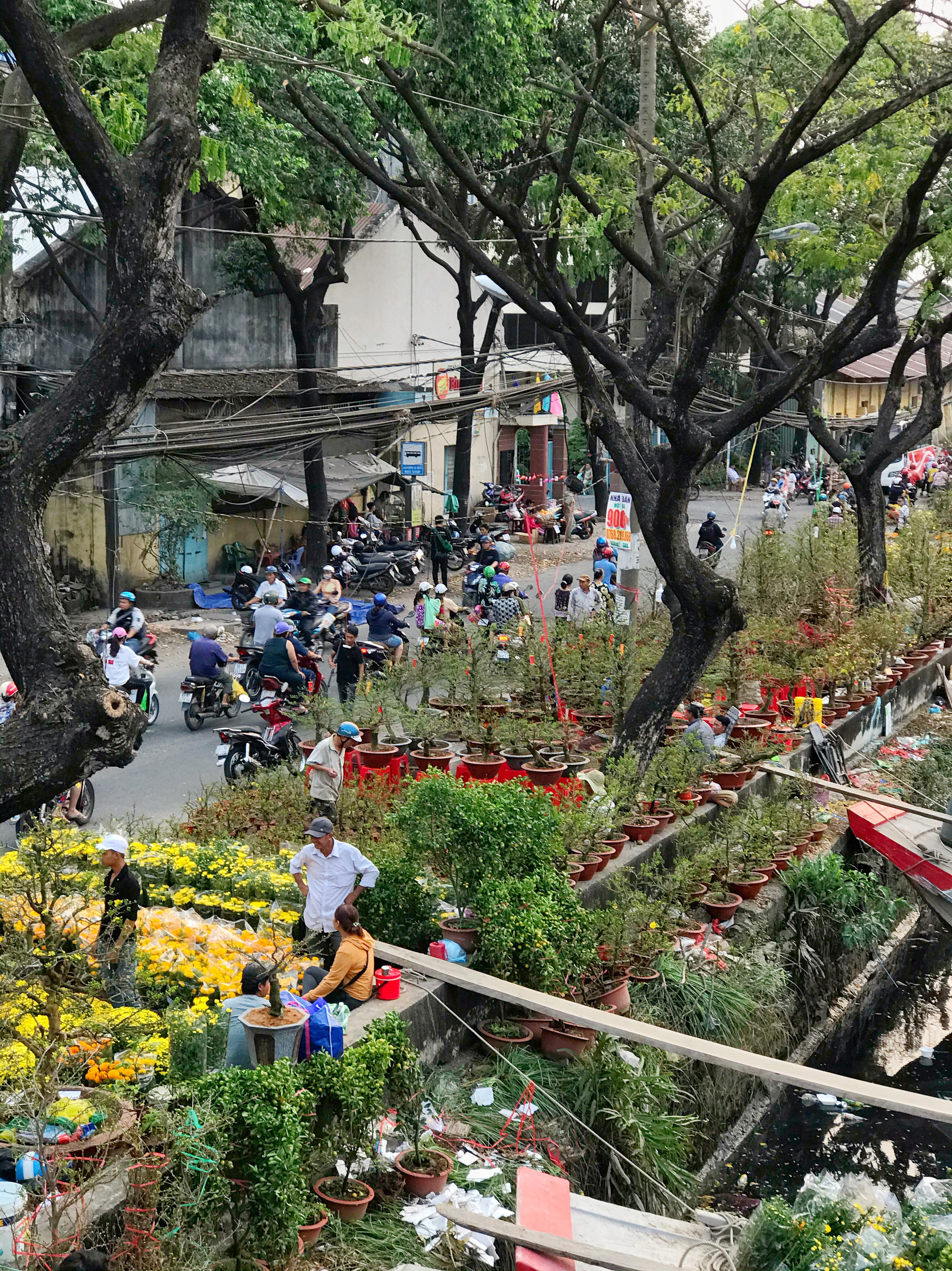 Bến Bình Đông - chợ hoa Tết “trên bến dưới thuyền” độc lạ của người Sài Gòn - Ảnh 6. Bến Bình Đông - chợ hoa Tết “trên bến dưới thuyền” độc lạ của người Sài Gòn - Ảnh 6.