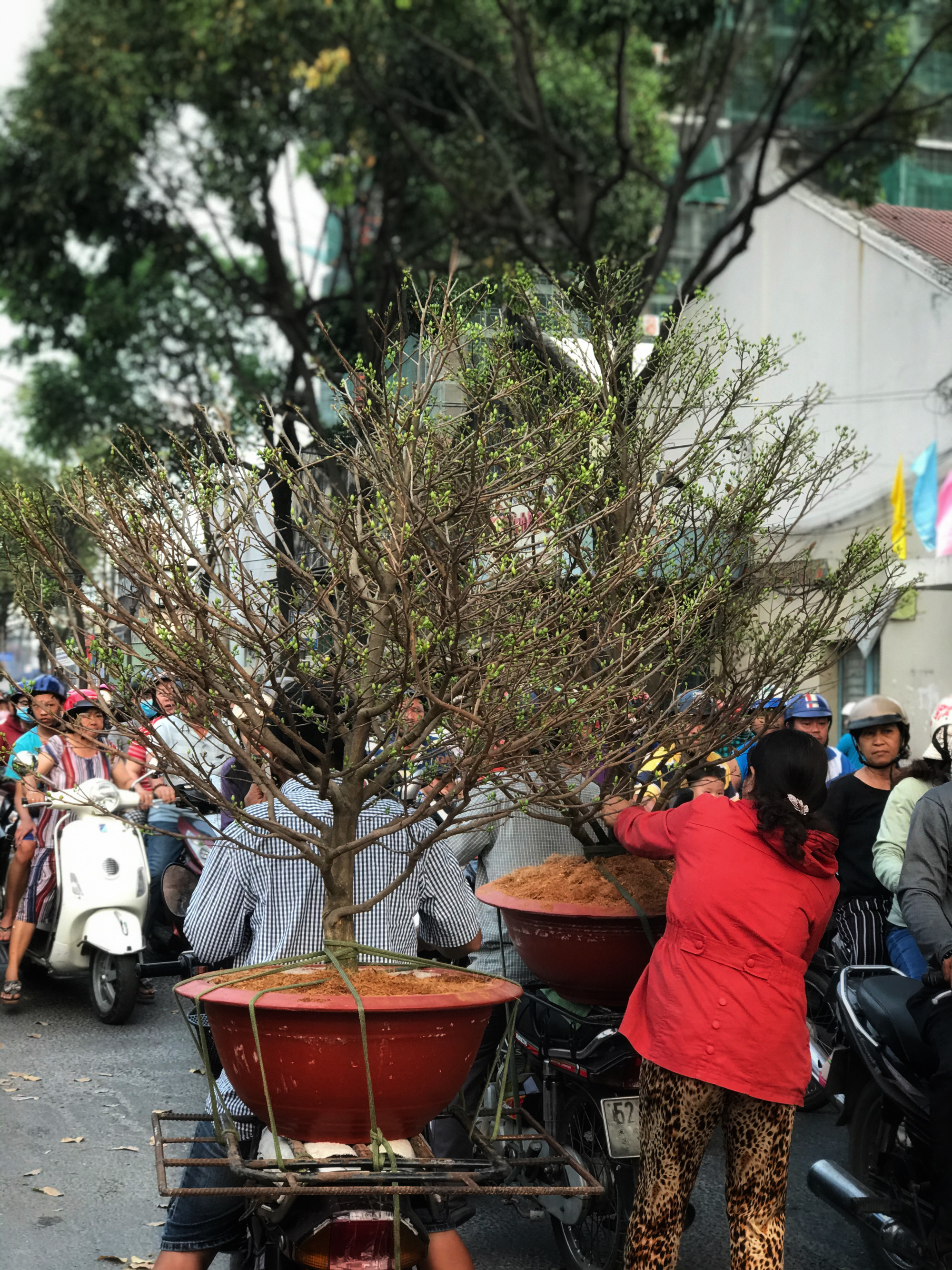 Bến Bình Đông - chợ hoa Tết “trên bến dưới thuyền” độc lạ của người Sài Gòn - Ảnh 5. Bến Bình Đông - chợ hoa Tết “trên bến dưới thuyền” độc lạ của người Sài Gòn - Ảnh 5.