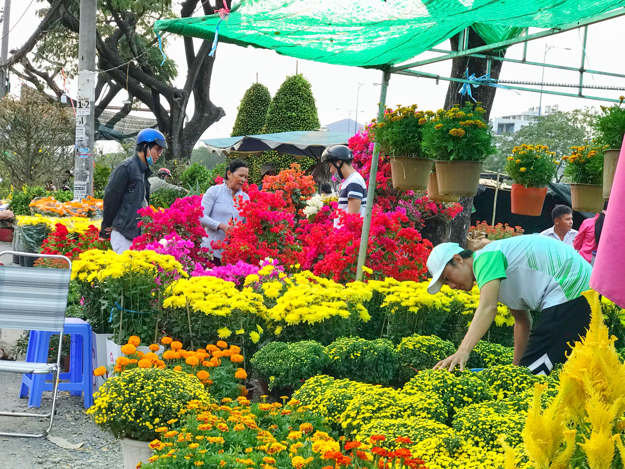 Bến Bình Đông - chợ hoa Tết “trên bến dưới thuyền” độc lạ của người Sài Gòn - Ảnh 9. Bến Bình Đông - chợ hoa Tết “trên bến dưới thuyền” độc lạ của người Sài Gòn - Ảnh 9.
