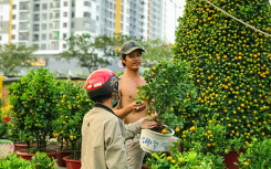 Bến Bình Đông - chợ hoa Tết 'trên bến dưới thuyền' độc lạ của người Sài Gòn