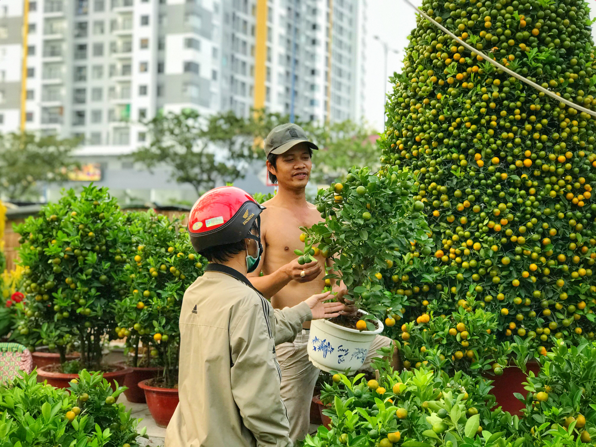 Bến Bình Đông - chợ hoa Tết “trên bến dưới thuyền” độc lạ của người Sài Gòn - Ảnh 4. Bến Bình Đông - chợ hoa Tết “trên bến dưới thuyền” độc lạ của người Sài Gòn - Ảnh 4.