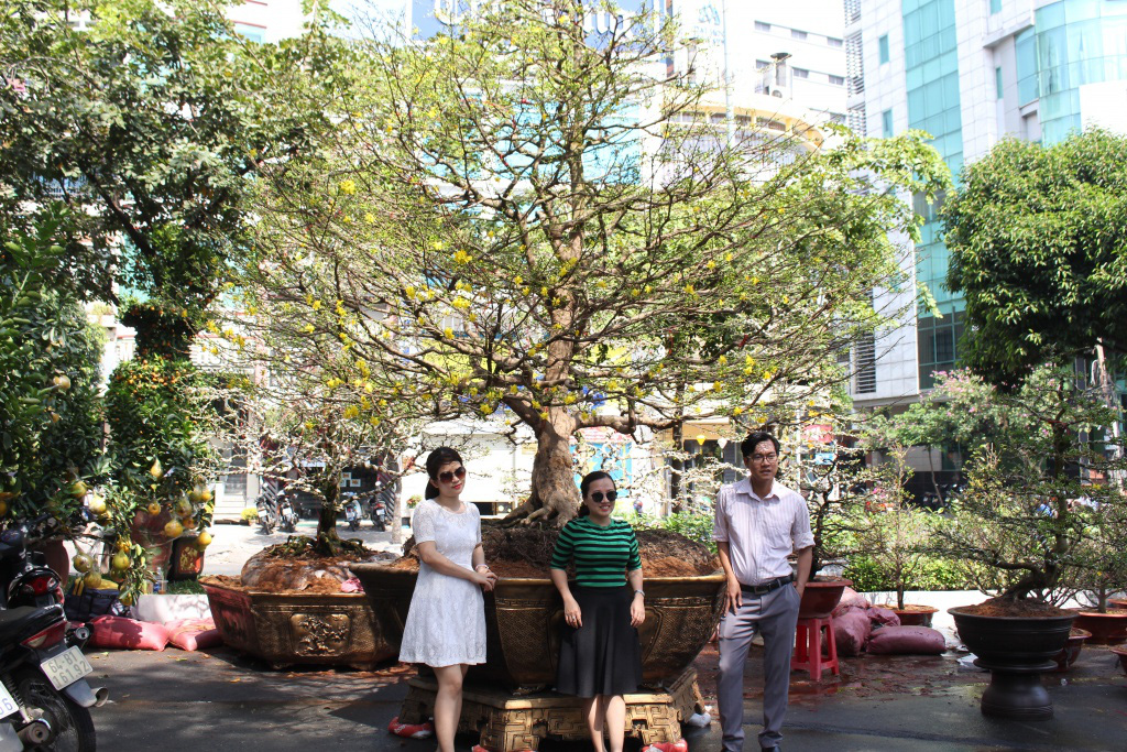 Hết ngược xuôi mang lên lại mang về, cây bạc tỉ vắng bóng tại chợ hoa Tết Sài Gòn - Ảnh 6. Hết ngược xuôi mang lên lại mang về, cây bạc tỉ vắng bóng tại chợ hoa Tết Sài Gòn - Ảnh 6.