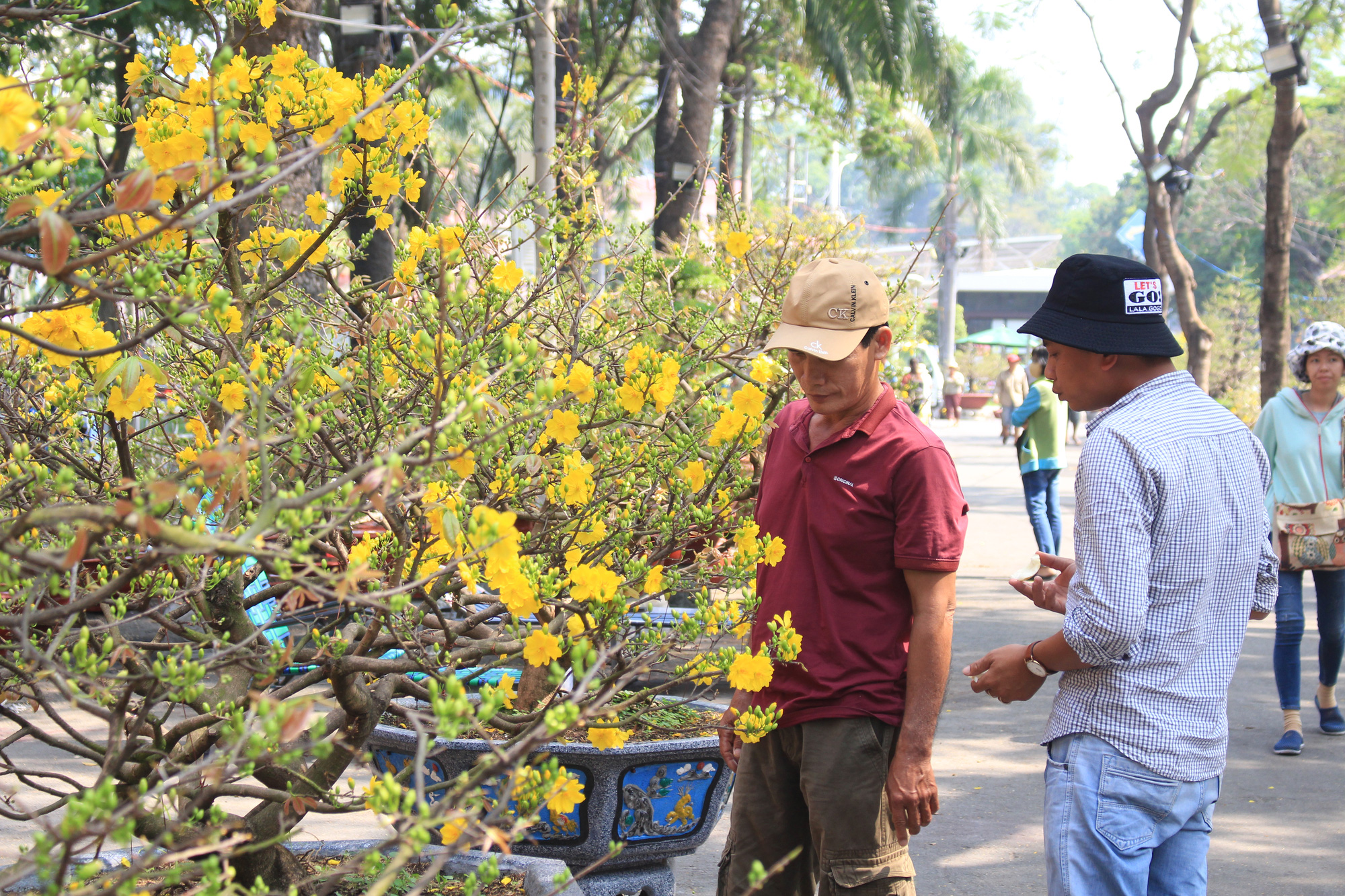 Mai, đào, tắc tiền triệu tại chợ hoa Sài Gòn ngóng người mua, có nhà vườn treo biển đồng giá 100.000 đồng mỗi chậu - Ảnh 3. Mai, đào, tắc tiền triệu tại chợ hoa Sài Gòn ngóng người mua, có nhà vườn treo biển đồng giá 100.000 đồng mỗi chậu - Ảnh 3.