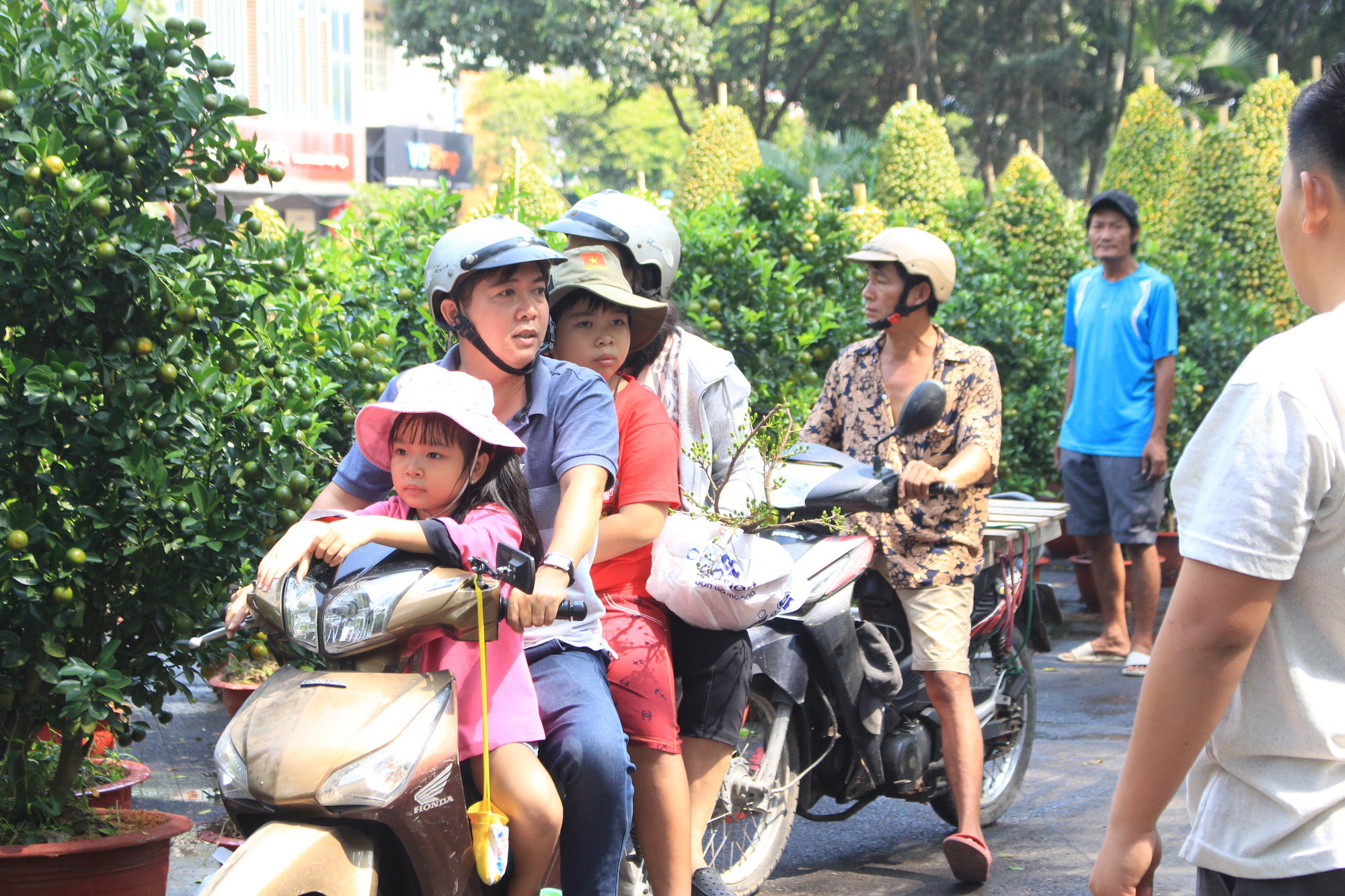 Hết ngược xuôi mang lên lại mang về, cây bạc tỉ vắng bóng tại chợ hoa Tết Sài Gòn - Ảnh 7. Hết ngược xuôi mang lên lại mang về, cây bạc tỉ vắng bóng tại chợ hoa Tết Sài Gòn - Ảnh 7.