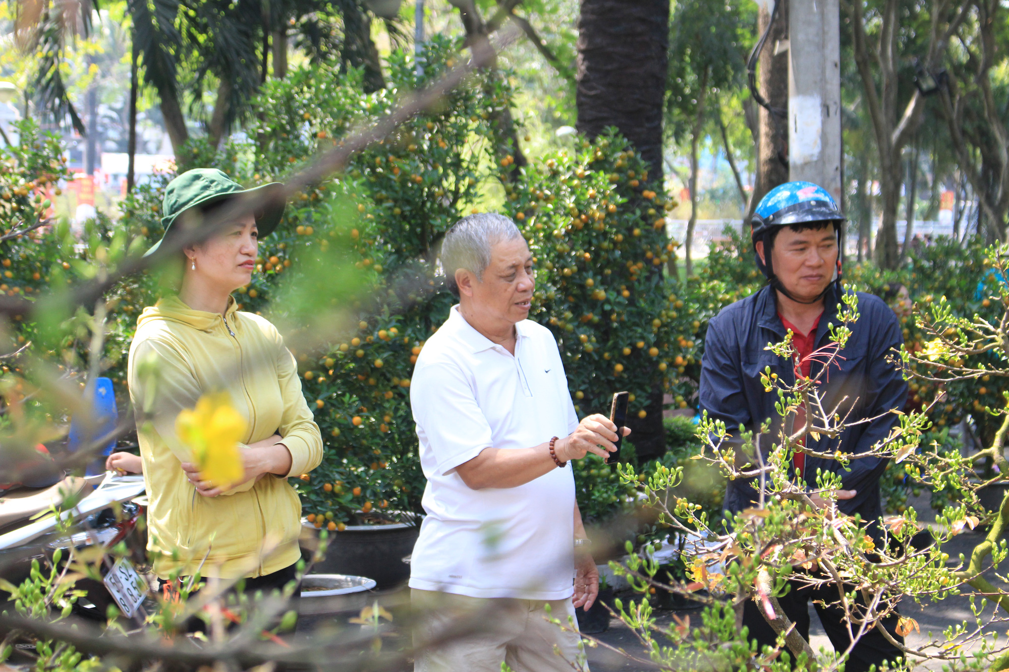 Hết ngược xuôi mang lên lại mang về, cây bạc tỉ vắng bóng tại chợ hoa Tết Sài Gòn - Ảnh 1. Hết ngược xuôi mang lên lại mang về, cây bạc tỉ vắng bóng tại chợ hoa Tết Sài Gòn - Ảnh 1.