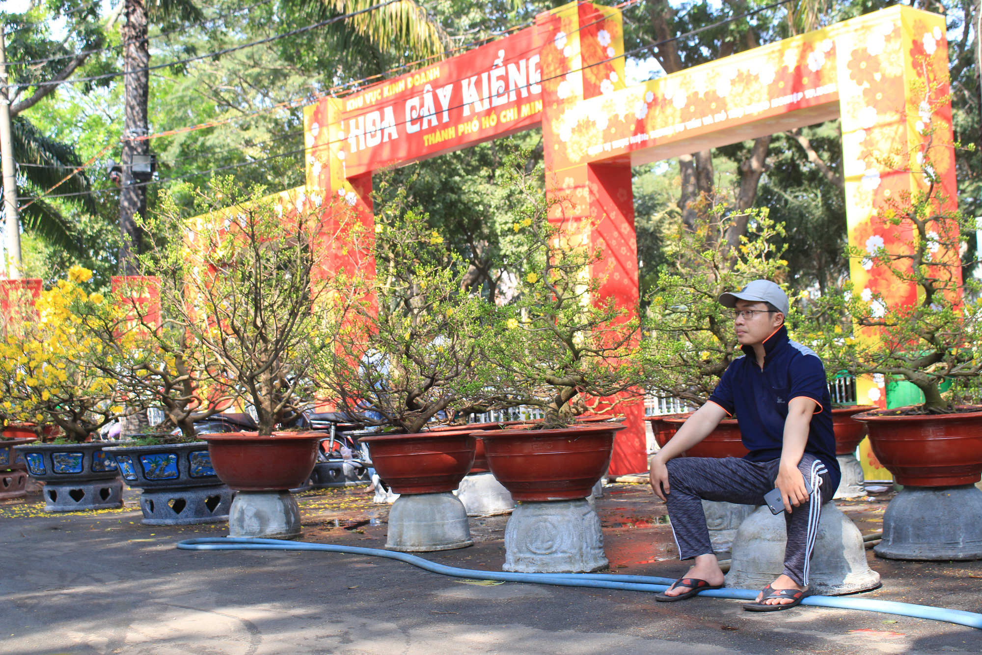 Mai, đào, tắc tiền triệu tại chợ hoa Sài Gòn ngóng người mua, có nhà vườn treo biển đồng giá 100.000 đồng mỗi chậu - Ảnh 4. Mai, đào, tắc tiền triệu tại chợ hoa Sài Gòn ngóng người mua, có nhà vườn treo biển đồng giá 100.000 đồng mỗi chậu - Ảnh 4.