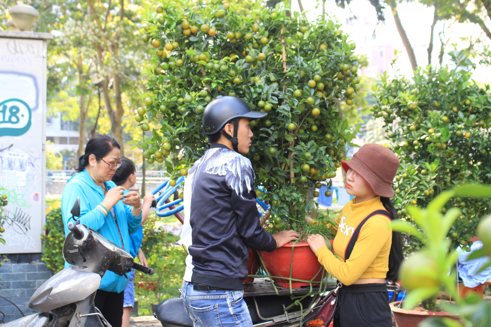 Mai, đào, tắc tiền triệu tại chợ hoa Sài Gòn ngóng người mua, có nhà vườn treo biển đồng giá 100.000 đồng mỗi chậu - Ảnh 10. Mai, đào, tắc tiền triệu tại chợ hoa Sài Gòn ngóng người mua, có nhà vườn treo biển đồng giá 100.000 đồng mỗi chậu - Ảnh 10.