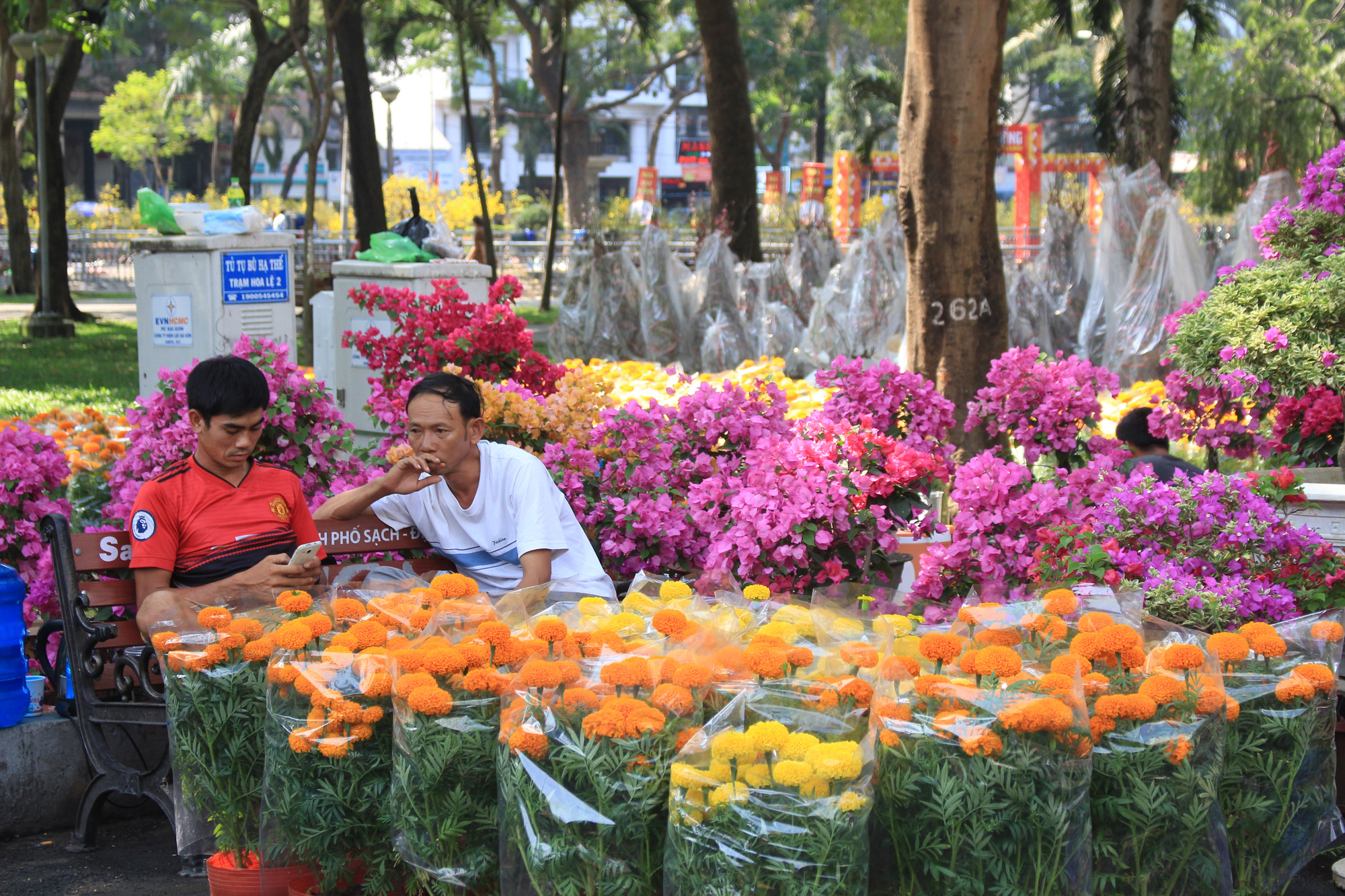 Mai, đào, tắc tiền triệu tại chợ hoa Sài Gòn ngóng người mua, có nhà vườn treo biển đồng giá 100.000 đồng mỗi chậu - Ảnh 2. Mai, đào, tắc tiền triệu tại chợ hoa Sài Gòn ngóng người mua, có nhà vườn treo biển đồng giá 100.000 đồng mỗi chậu - Ảnh 2.