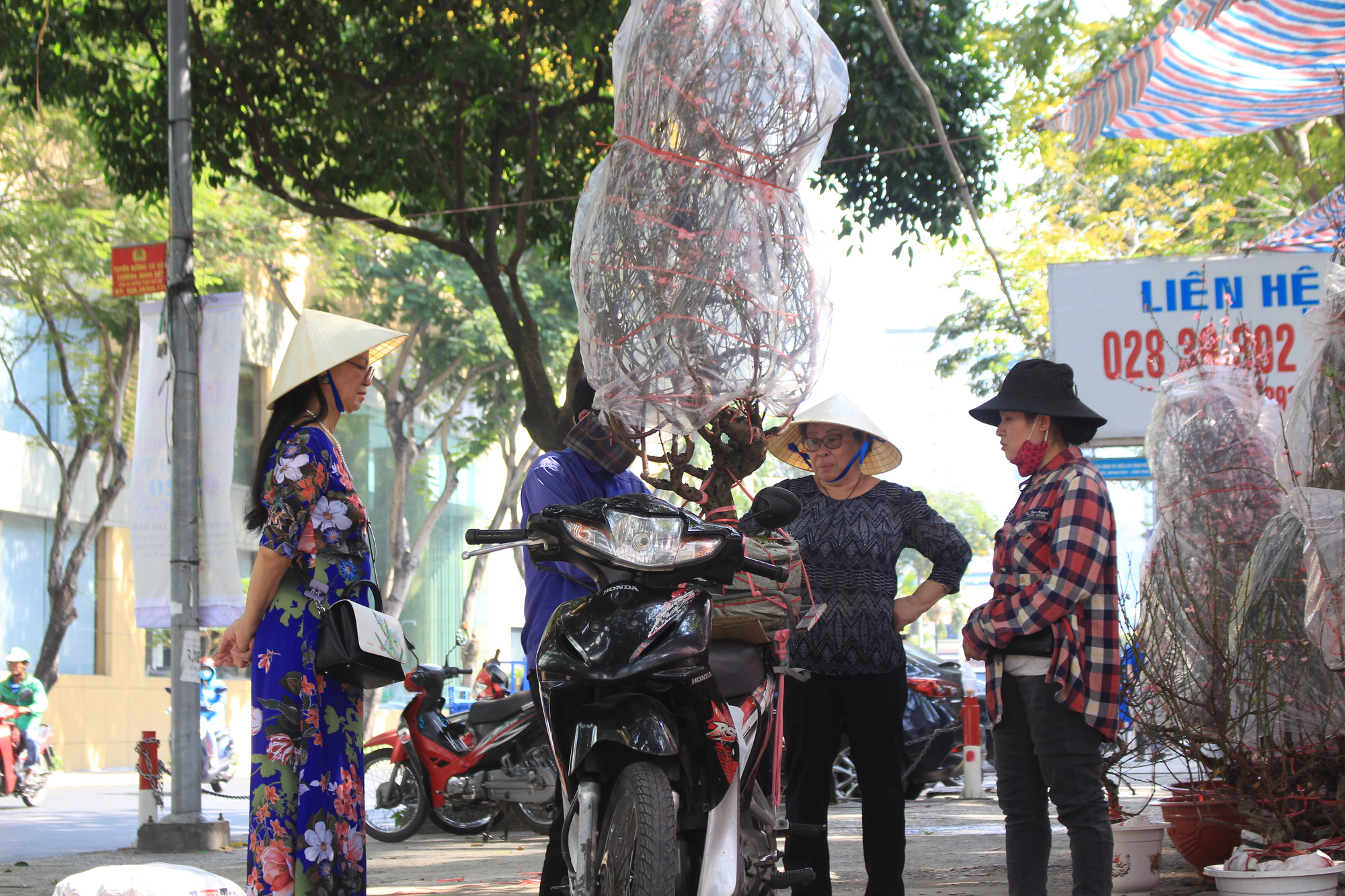 Mai, đào, tắc tiền triệu tại chợ hoa Sài Gòn ngóng người mua, có nhà vườn treo biển đồng giá 100.000 đồng mỗi chậu - Ảnh 6. Mai, đào, tắc tiền triệu tại chợ hoa Sài Gòn ngóng người mua, có nhà vườn treo biển đồng giá 100.000 đồng mỗi chậu - Ảnh 6.