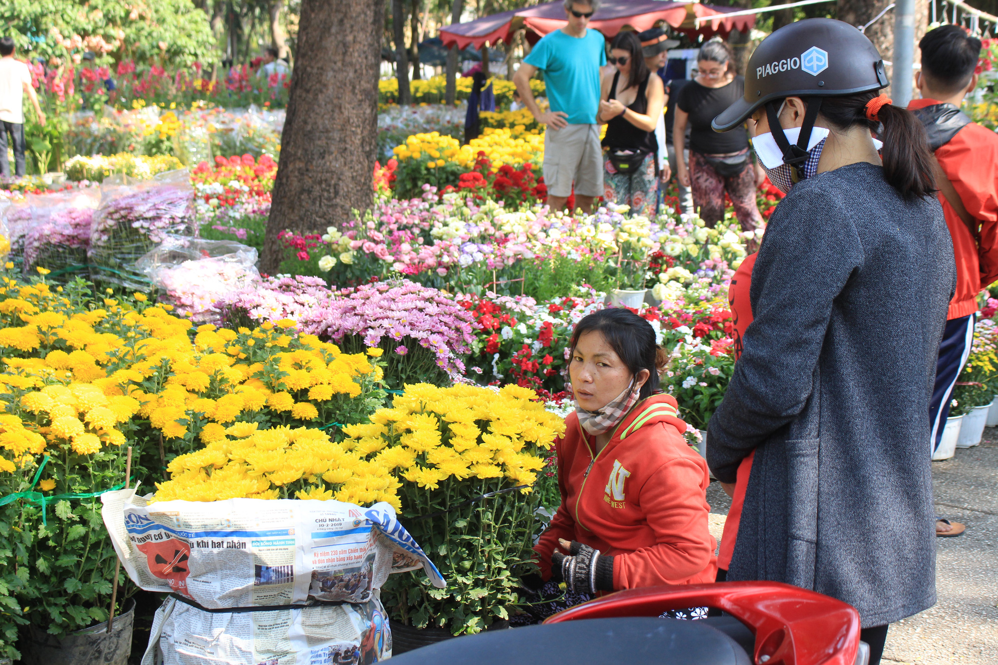 Mai, đào, tắc tiền triệu tại chợ hoa Sài Gòn ngóng người mua, có nhà vườn treo biển đồng giá 100.000 đồng mỗi chậu - Ảnh 13. Mai, đào, tắc tiền triệu tại chợ hoa Sài Gòn ngóng người mua, có nhà vườn treo biển đồng giá 100.000 đồng mỗi chậu - Ảnh 13.