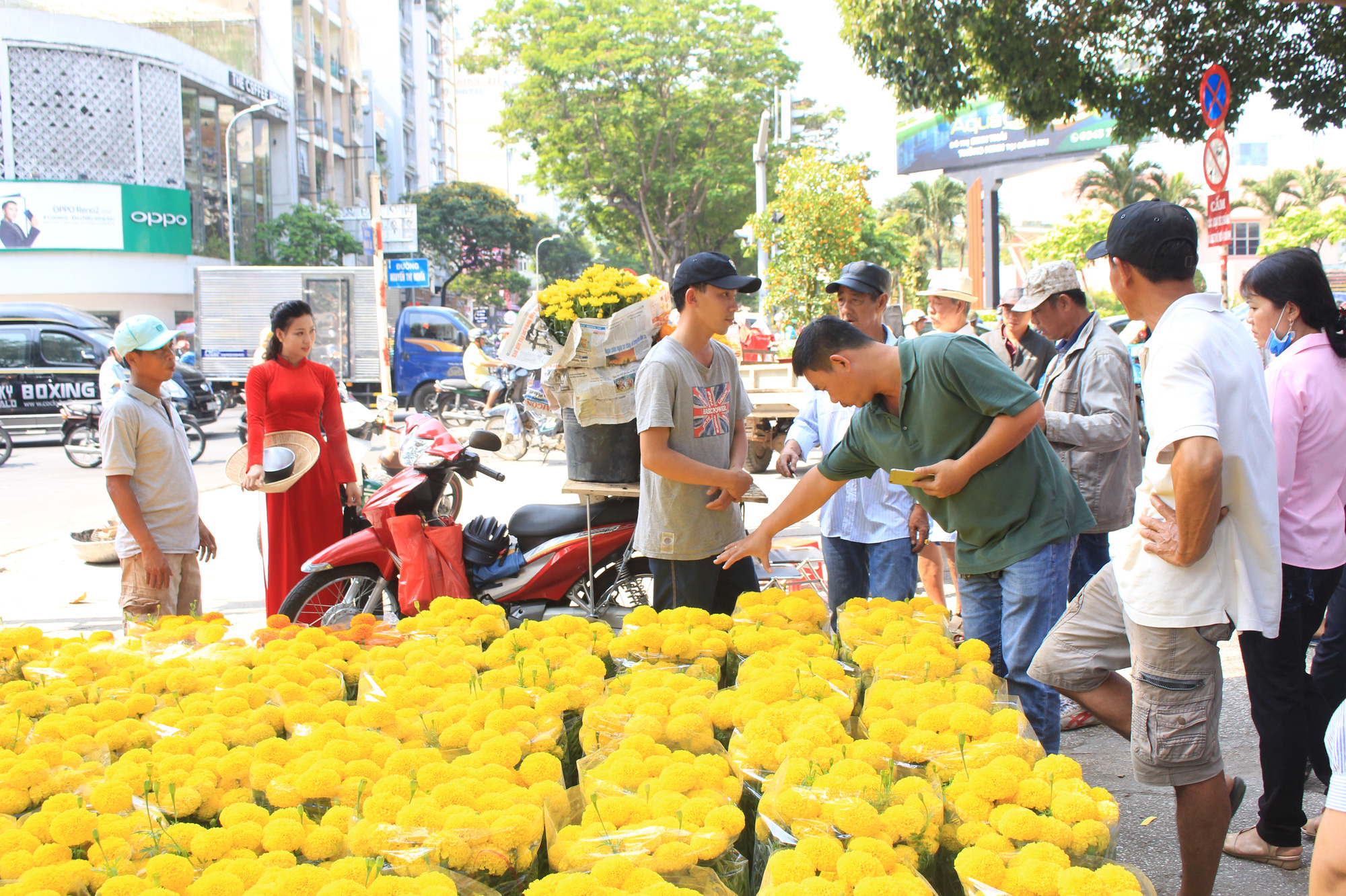 Mai, đào, tắc tiền triệu tại chợ hoa Sài Gòn ngóng người mua, có nhà vườn treo biển đồng giá 100.000 đồng mỗi chậu - Ảnh 11. Mai, đào, tắc tiền triệu tại chợ hoa Sài Gòn ngóng người mua, có nhà vườn treo biển đồng giá 100.000 đồng mỗi chậu - Ảnh 11.