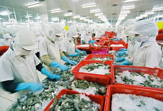 Vua tôm Minh Phú nói bất ngờ khi bị Mỹ điều tra bán phá giá - Ảnh 1. Vua tôm Minh Phú nói bất ngờ khi bị Mỹ điều tra bán phá giá - Ảnh 1.