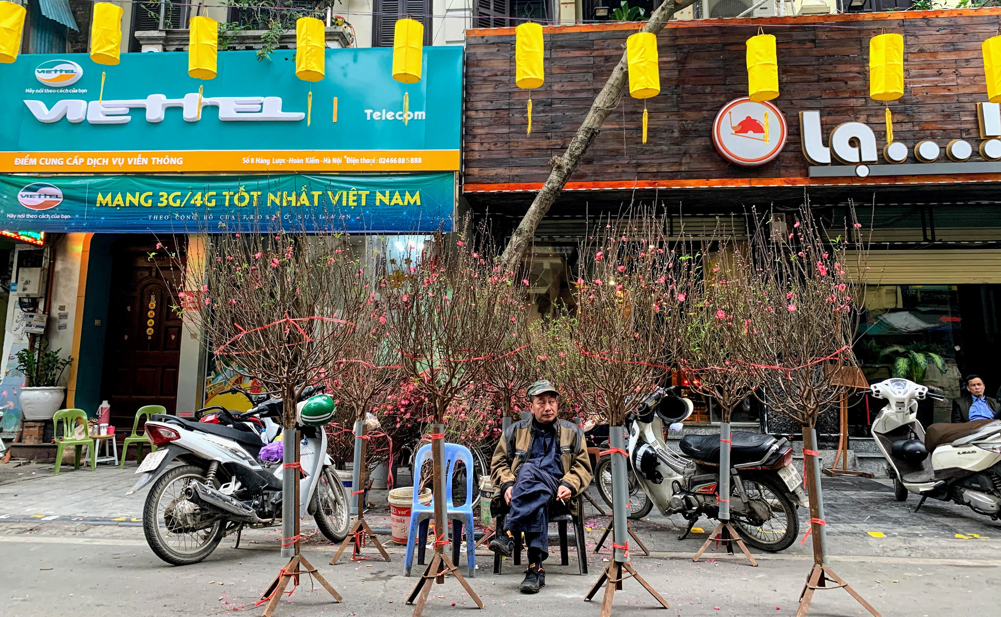 Chiều cuối năm, đột nhập chợ hoa xuân xem người Hà Nội sắm Tết - Ảnh 2. Chiều cuối năm, đột nhập chợ hoa xuân xem người Hà Nội sắm Tết - Ảnh 2.