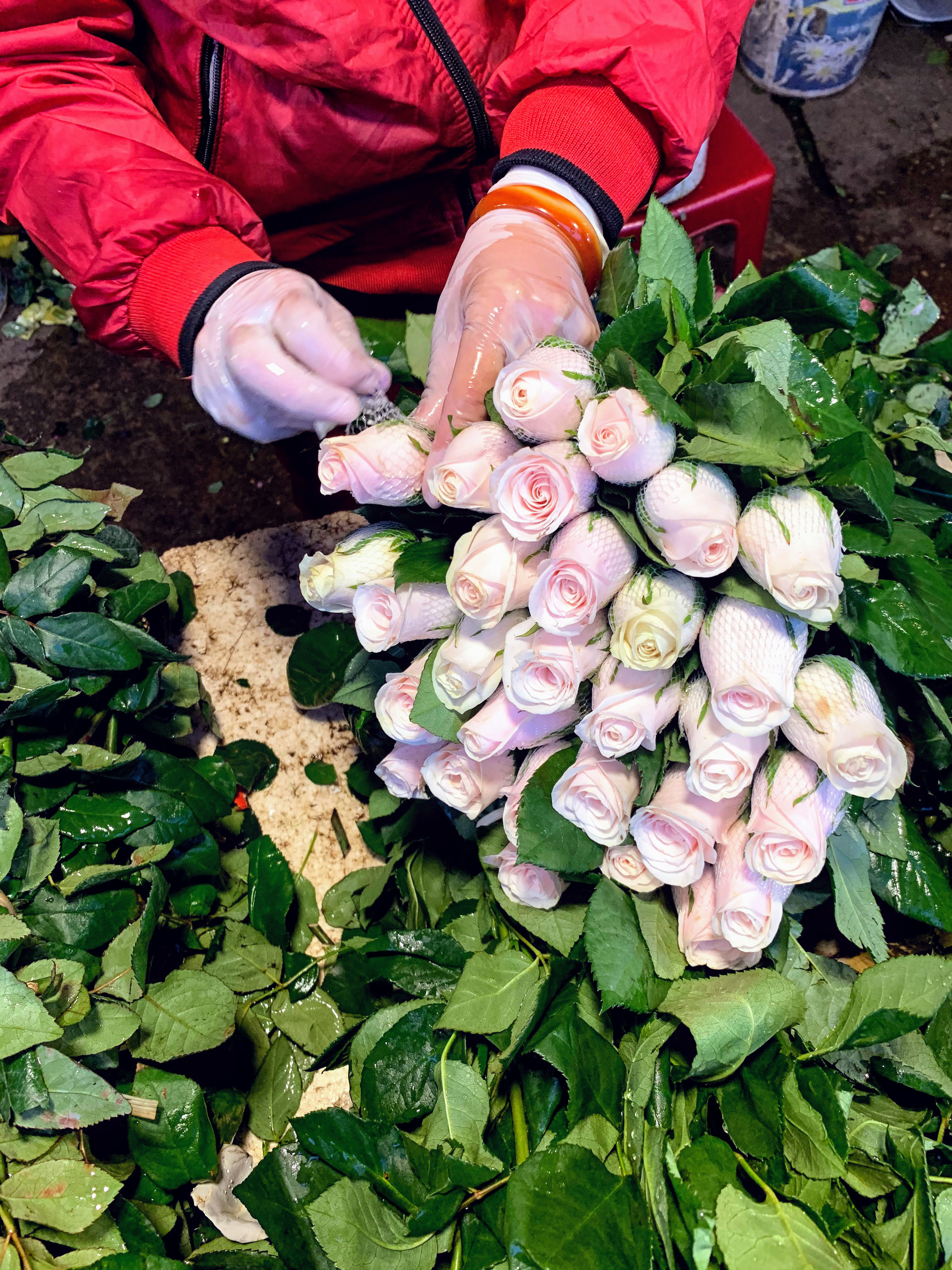 Chiều cuối năm, đột nhập chợ hoa xuân xem người Hà Nội sắm Tết - Ảnh 11. Chiều cuối năm, đột nhập chợ hoa xuân xem người Hà Nội sắm Tết - Ảnh 11.
