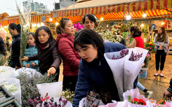 Đi chợ hoa xuân lâu đời nhất thủ đô xem người Hà Nội sắm Tết