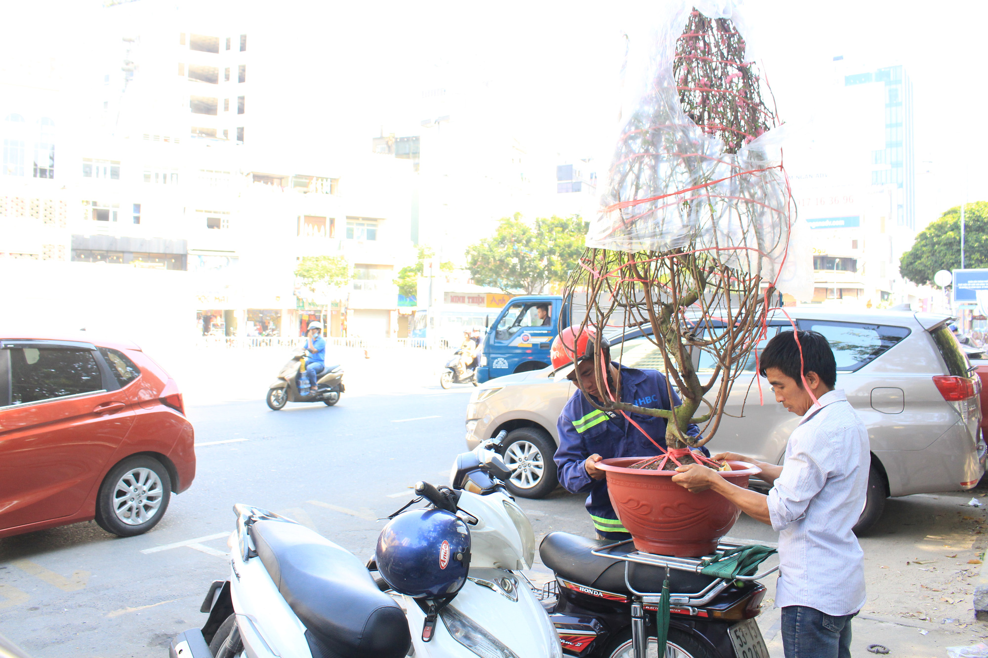 28 Tết, đào Nhật Tân tại chợ hoa Sài Gòn bắt đầu giảm giá, thuận mua vừa bán nên hút khách - Ảnh 9.