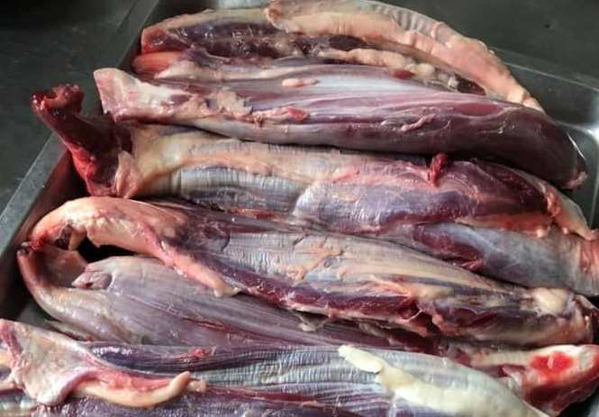 Bắp bò lõi rùa siêu rẻ, dân đua nhau mua nhậu Tết - Ảnh 1. Bắp bò lõi rùa siêu rẻ, dân đua nhau mua nhậu Tết - Ảnh 1.