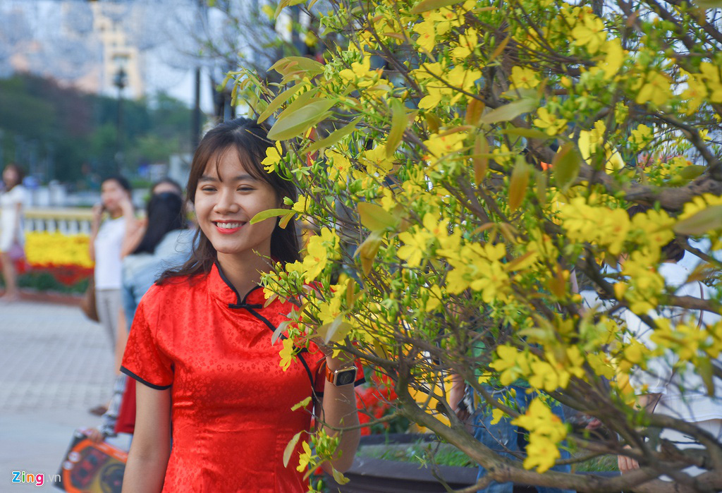 Ngắm đường hoa hơn 6 tỉ ở Đà Nẵng - Ảnh 12. Ngắm đường hoa hơn 6 tỉ ở Đà Nẵng - Ảnh 12.