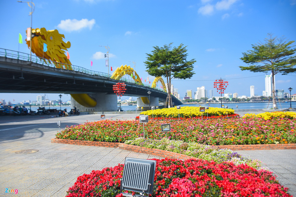 Ngắm đường hoa hơn 6 tỉ ở Đà Nẵng - Ảnh 2. Ngắm đường hoa hơn 6 tỉ ở Đà Nẵng - Ảnh 2.