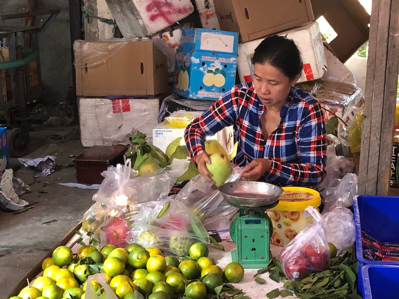 Chợ ế toàn tập, người bán trái cây, thịt heo khóc ròng - Ảnh 1. Chợ ế toàn tập, người bán trái cây, thịt heo khóc ròng - Ảnh 1.