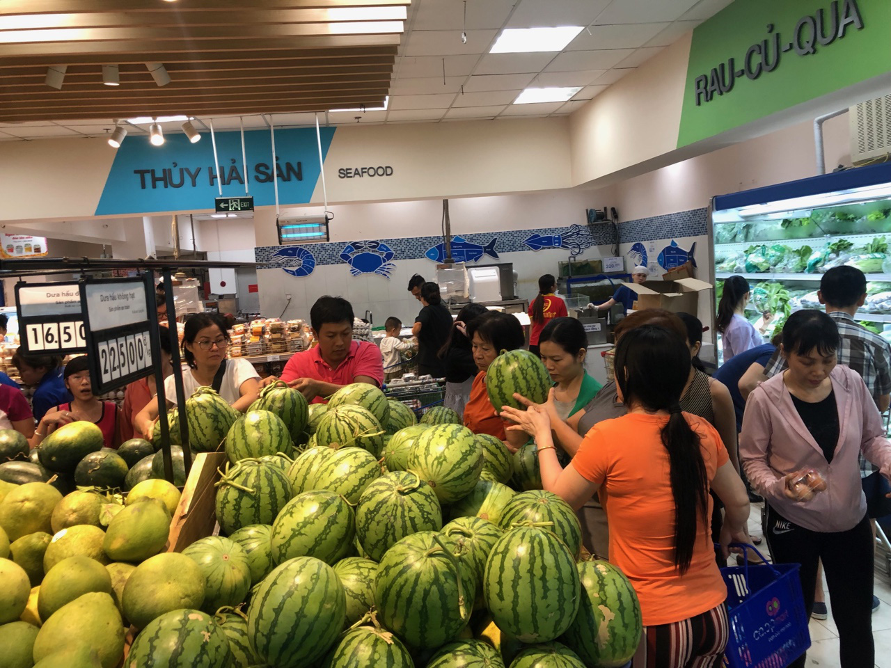 Chợ ế toàn tập, người bán trái cây, thịt heo khóc ròng - Ảnh 9. Chợ ế toàn tập, người bán trái cây, thịt heo khóc ròng - Ảnh 9.