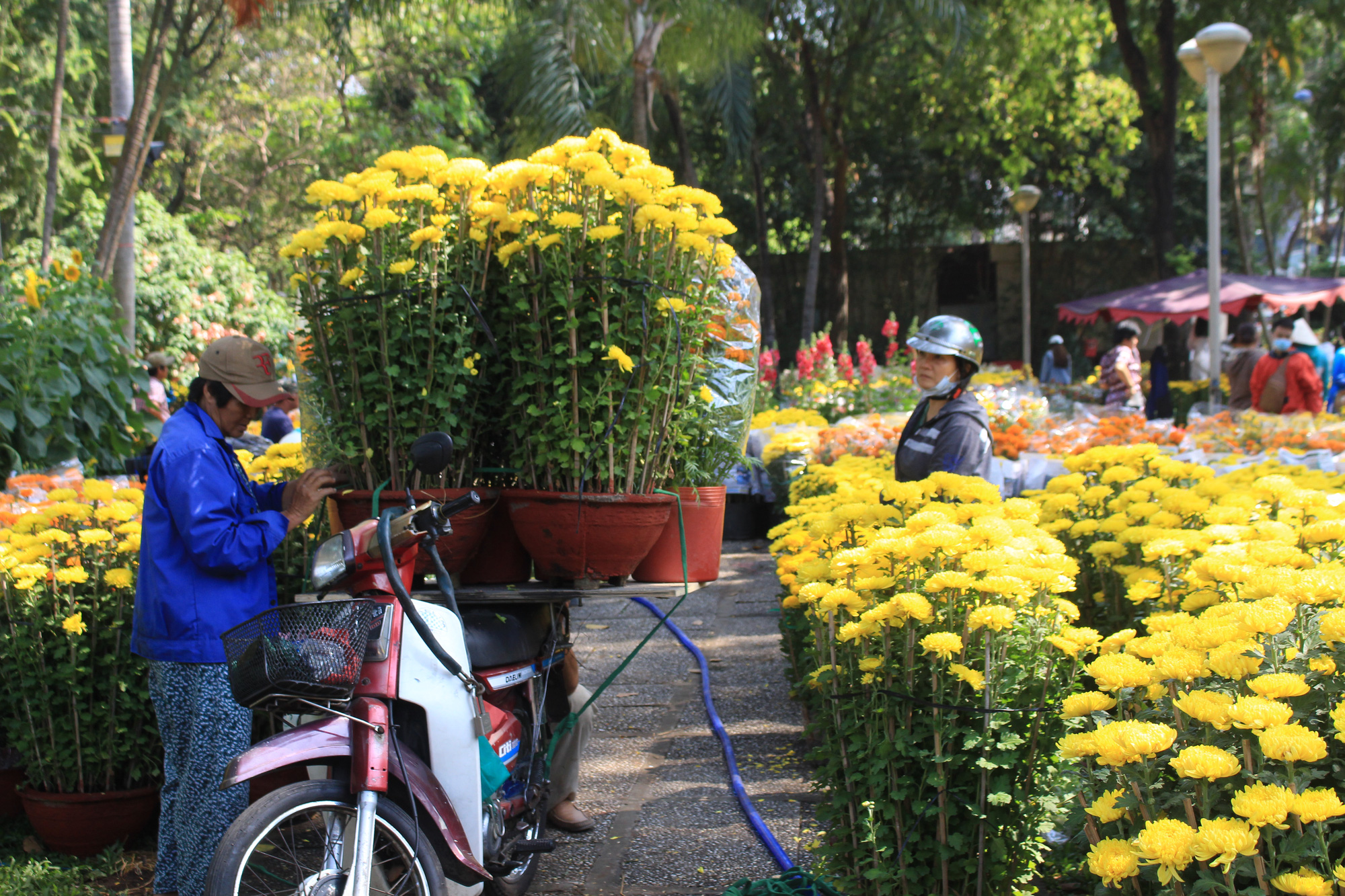 Xe ôm nghỉ việc, chở hoa Tết kiếm tiền triệu mỗi ngày - Ảnh 10. Xe ôm nghỉ việc, chở hoa Tết kiếm tiền triệu mỗi ngày - Ảnh 10.