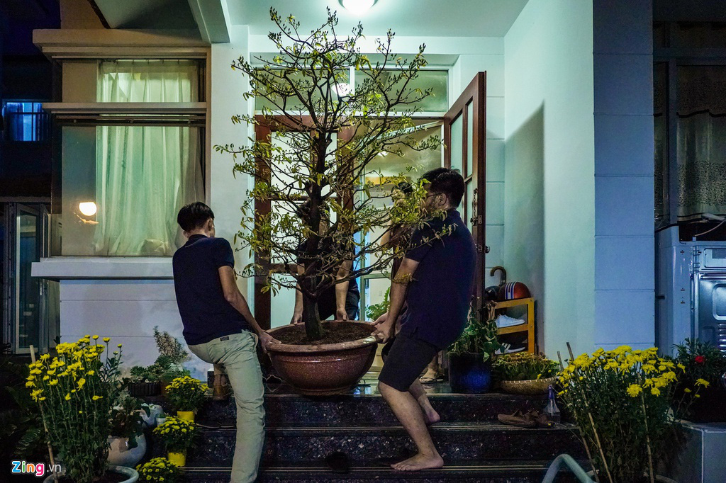 Cảnh trang hoàng đón Tết tại phố nhà giàu TP HCM - Ảnh 6. Cảnh trang hoàng đón Tết tại phố nhà giàu TP HCM - Ảnh 6.