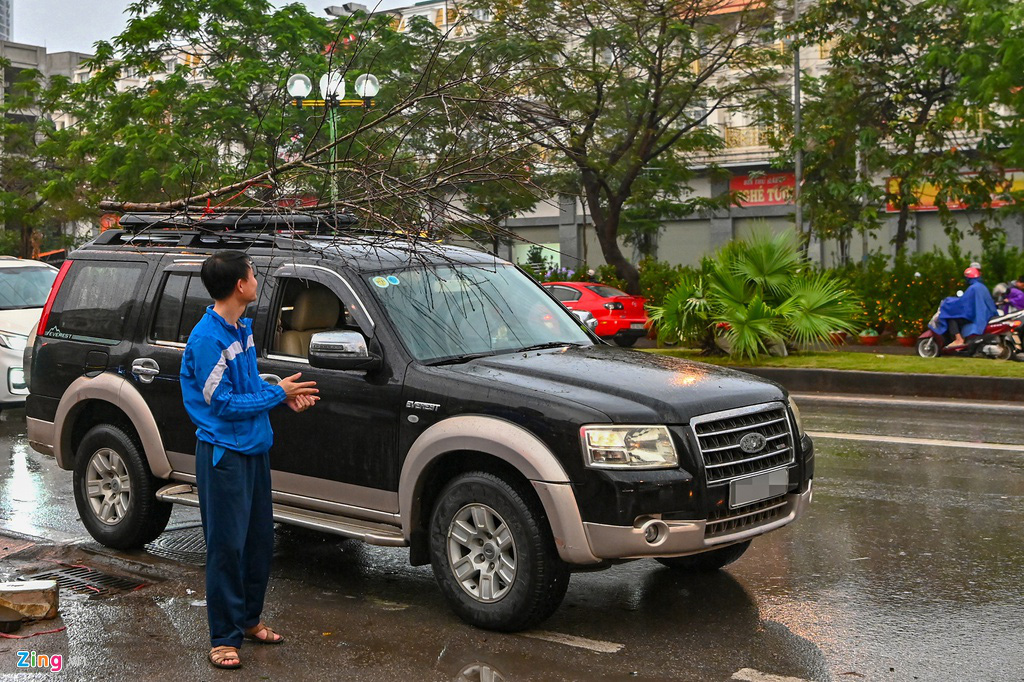 Đào rừng bị vứt bỏ, dân đánh ôtô gom chơi Tết - Ảnh 5.