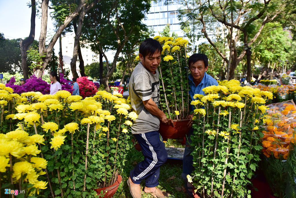Đổ xô mua hoa Tết đại hạ giá ở trung tâm TP.HCM - Ảnh 7. Đổ xô mua hoa Tết đại hạ giá ở trung tâm TP.HCM - Ảnh 7.