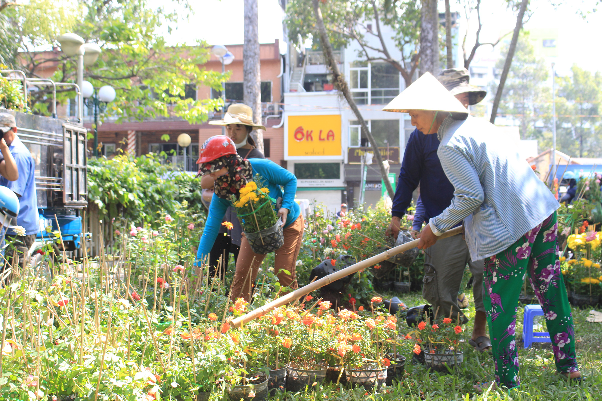 Đập nát hoa trước quăng lên xe rác ở Sài Gòn trưa 30 Tết - Ảnh 6. Đập nát hoa trước quăng lên xe rác ở Sài Gòn trưa 30 Tết - Ảnh 6.