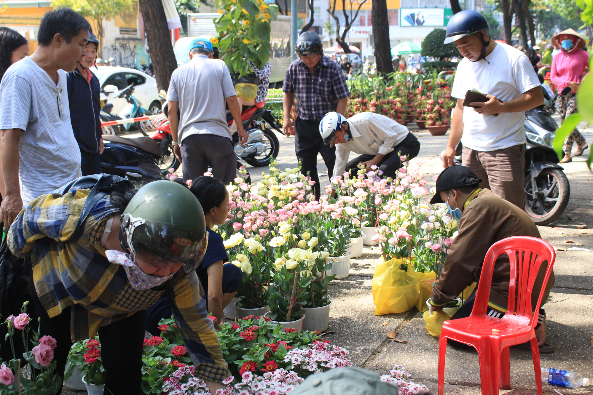 Trưa 30 Tết, mai, đào, hướng dương bán rẻ như cho 50.000 đồng một cây ở chợ hoa Sài Gòn - Ảnh 2. Trưa 30 Tết, mai, đào, hướng dương bán rẻ như cho 50.000 đồng một cây ở chợ hoa Sài Gòn - Ảnh 2.