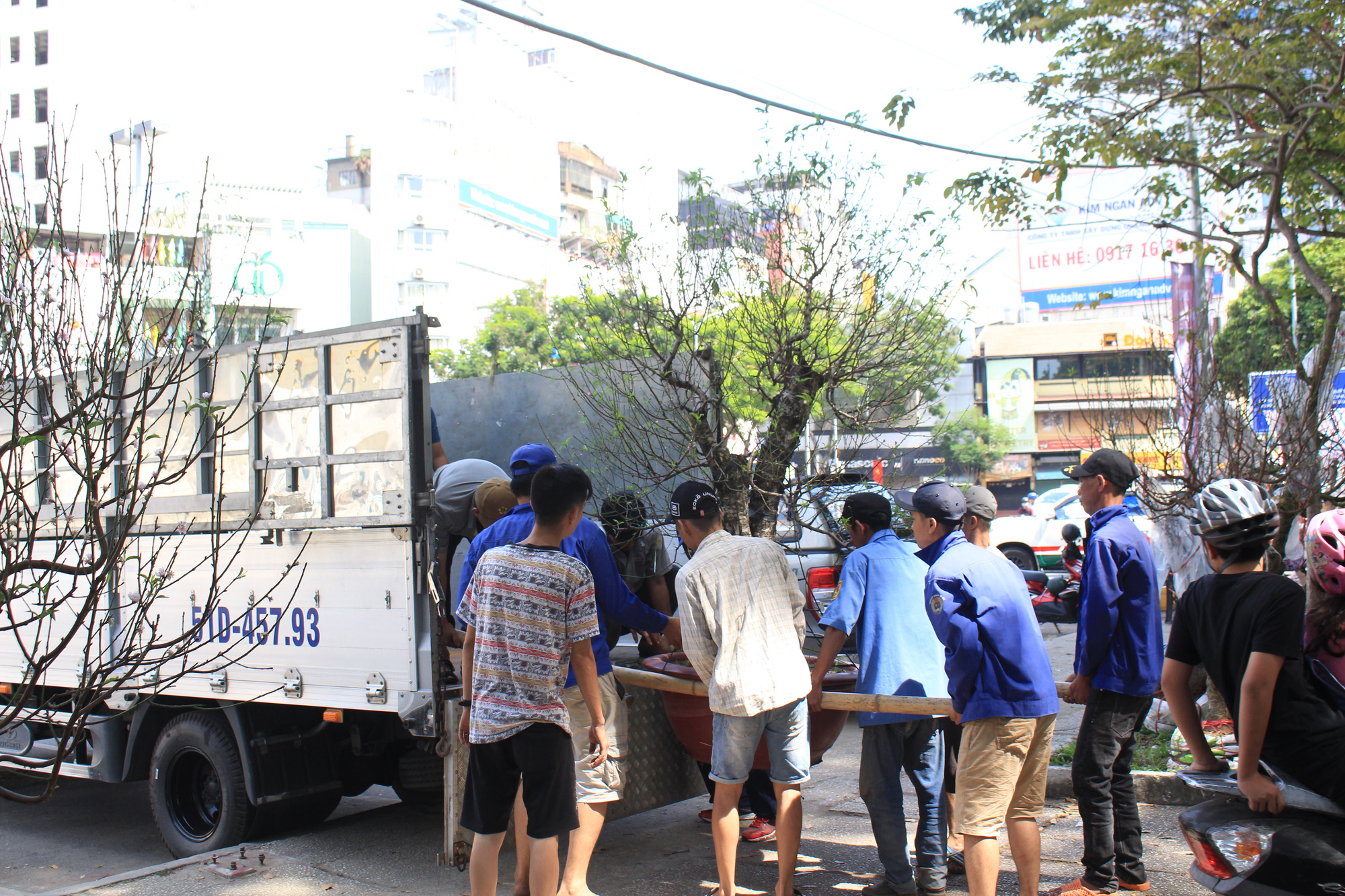 Trưa 30 Tết, mai, đào, hướng dương bán rẻ như cho 50.000 đồng một cây ở chợ hoa Sài Gòn - Ảnh 8. Trưa 30 Tết, mai, đào, hướng dương bán rẻ như cho 50.000 đồng một cây ở chợ hoa Sài Gòn - Ảnh 8.