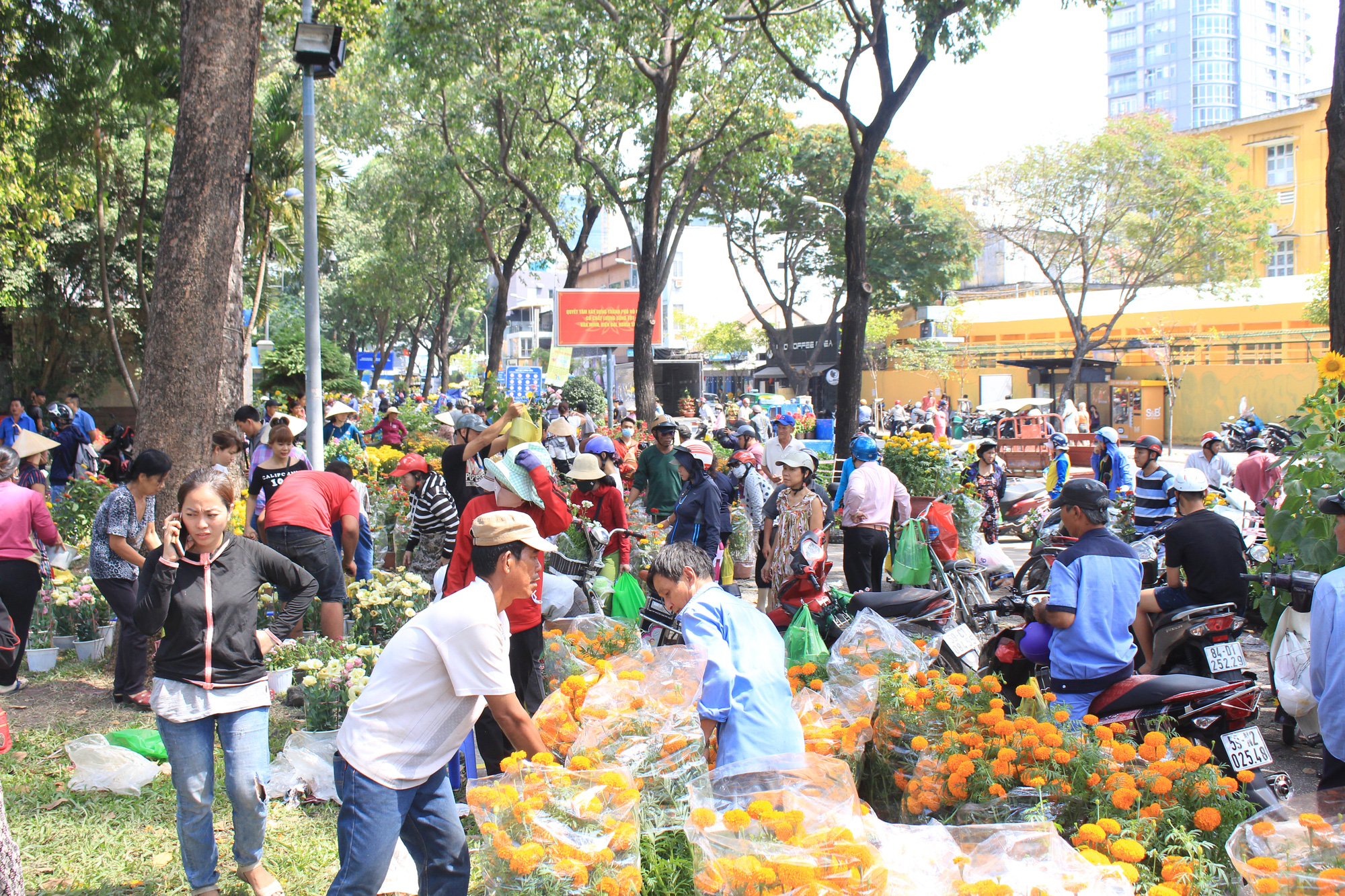 Đập nát hoa trước quăng lên xe rác ở Sài Gòn trưa 30 Tết - Ảnh 1. Đập nát hoa trước quăng lên xe rác ở Sài Gòn trưa 30 Tết - Ảnh 1.