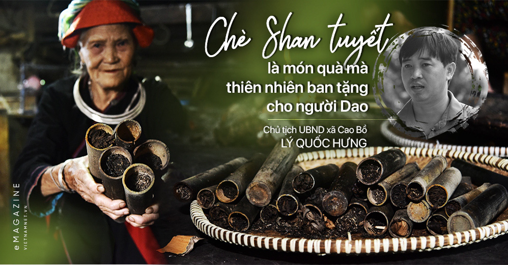 'Kho vàng' ẩn trong rừng sâu, báu vật 500 tuổi ở Hà Giang - Ảnh 4. 'Kho vàng' ẩn trong rừng sâu, báu vật 500 tuổi ở Hà Giang - Ảnh 4.