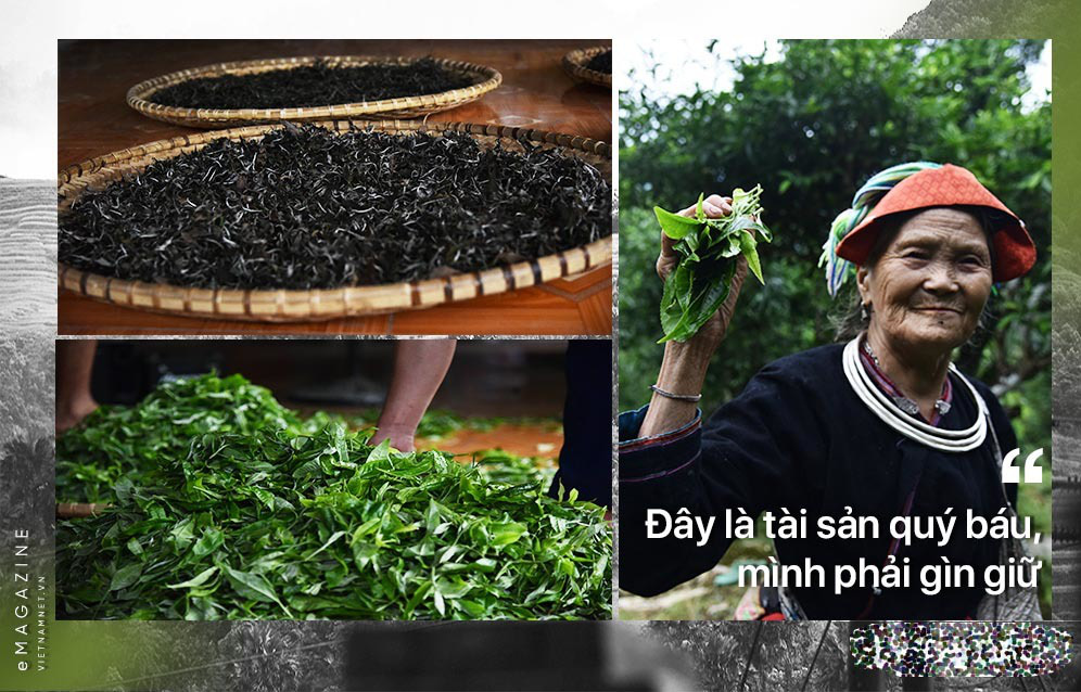 'Kho vàng' ẩn trong rừng sâu, báu vật 500 tuổi ở Hà Giang - Ảnh 6. 'Kho vàng' ẩn trong rừng sâu, báu vật 500 tuổi ở Hà Giang - Ảnh 6.
