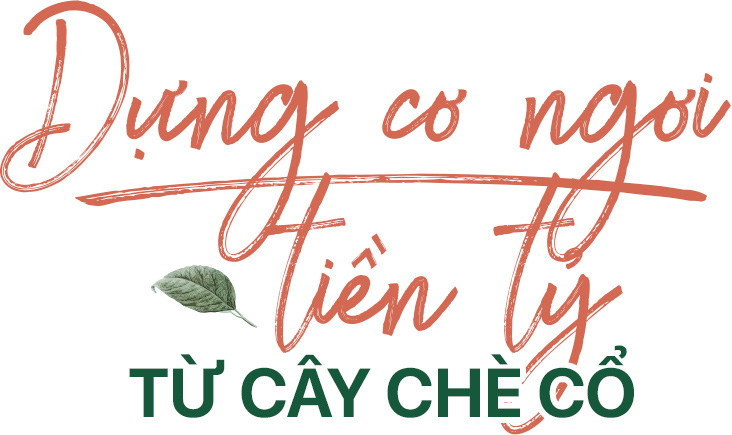 'Kho vàng' ẩn trong rừng sâu, báu vật 500 tuổi ở Hà Giang - Ảnh 5. 'Kho vàng' ẩn trong rừng sâu, báu vật 500 tuổi ở Hà Giang - Ảnh 5.