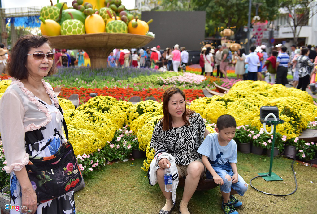 Chưa hết Tết, hàng trăm chậu hoa bị đạp nát ở đường hoa Nguyễn Huệ - Ảnh 13.