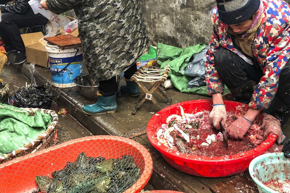 Những món ăn cần tránh để phòng chống dịch corona - Ảnh 2. Những món ăn cần tránh để phòng chống dịch corona - Ảnh 2.