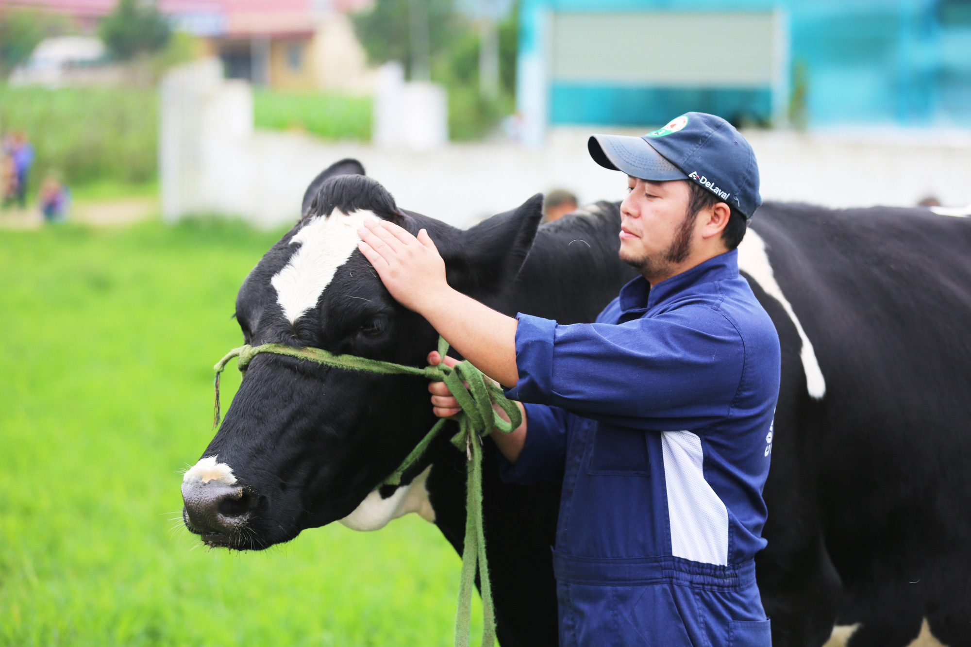 Sở hữu 75% vốn điều lệ GTNfoods, Vinamilk chính thức tham gia quản lí Mộc Châu - Ảnh 2.