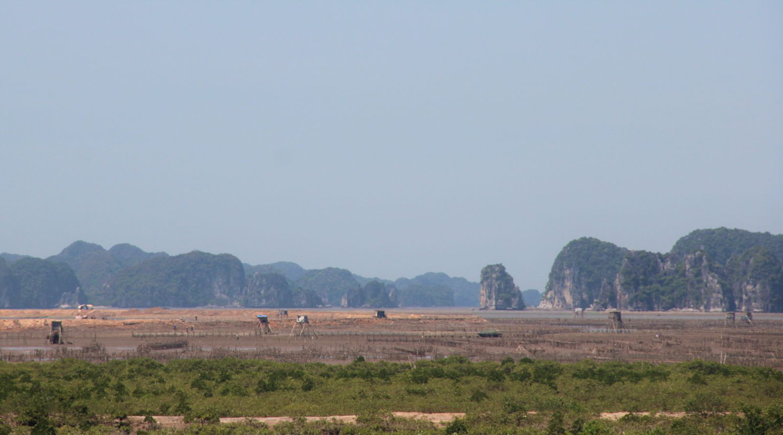 Quảng Ninh: Dự án sân godf 1.500 tỉ đồng phải giữ nguyên diện tích rừng phòng hộ - Ảnh 1. Quảng Ninh: Dự án sân godf 1.500 tỉ đồng phải giữ nguyên diện tích rừng phòng hộ - Ảnh 1.