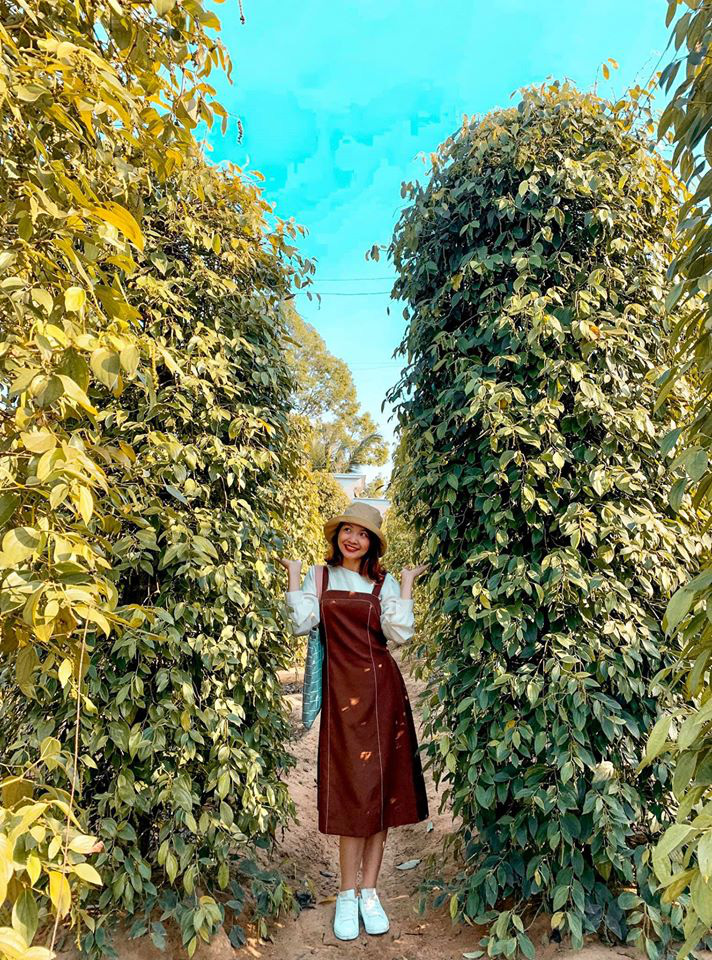 So sánh tour du lịch Hà Nội - Phú Quốc 3 ngày 2 đêm  - Ảnh 8.