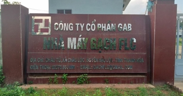 Công ty sản xuất gạch ngói với tổng tài sản chưa đầy 200 tỉ đồng muốn tham gia ngành hàng không - Ảnh 1.