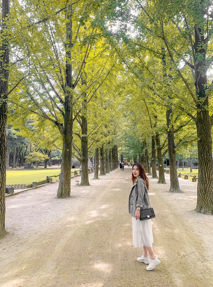 So sánh tour du lịch Hà Nội - Hàn Quốc mùa xuân 5 ngày 4 đêm - Ảnh 6. So sánh tour du lịch Hà Nội - Hàn Quốc mùa xuân 5 ngày 4 đêm - Ảnh 6.