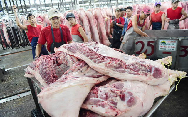 Giá heo hơi liên tục lao dốc, mất hơn 20.000 đồng/kg, Bộ Công Thương yêu cầu không nhập heo lậu, doanh nghiệp không găm hàng, tăng giá - Ảnh 1. Giá heo hơi liên tục lao dốc, mất hơn 20.000 đồng/kg, Bộ Công Thương yêu cầu không nhập heo lậu, doanh nghiệp không găm hàng, tăng giá - Ảnh 1.