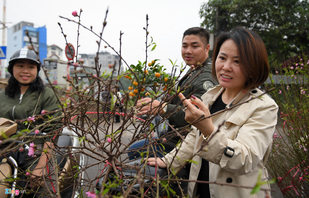 Thu hàng chục triệu mỗi ngày từ đào Nhật Tân nở sớm - Ảnh 6.