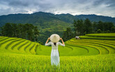 Mù Căng Chải được báo nước ngoài khen ngợi là điểm đến hàng đầu năm 2020